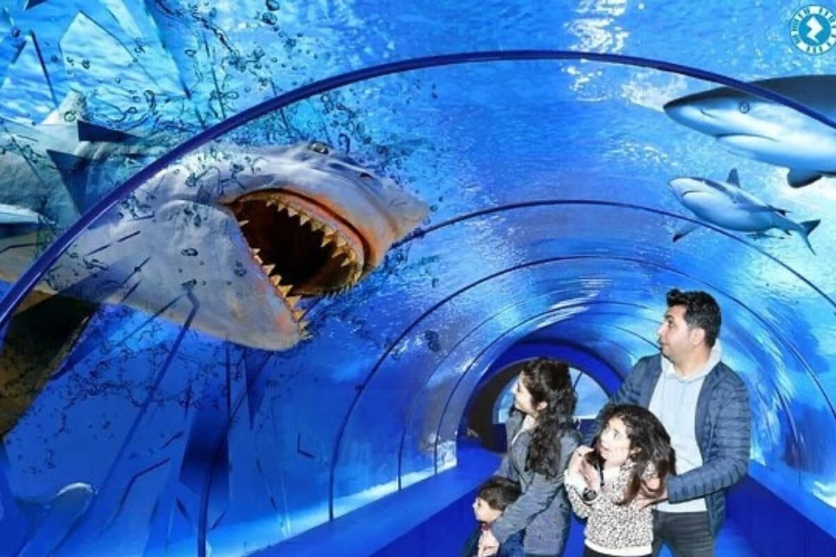 Antalya Aquarium – private VIP-Tour ab Antalya
